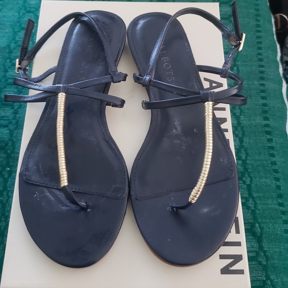 Talbots 🌀 NAVY Thong Sandal